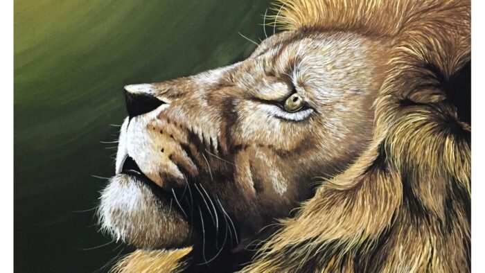 毛の細かいライオン