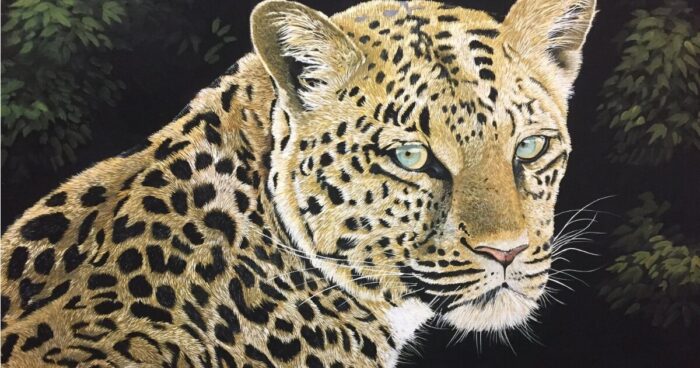 ヒョウの絵参考画像