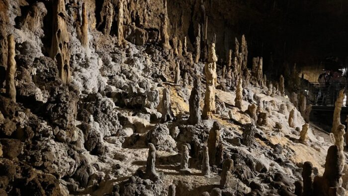 悪い行動の後の景色参考画像