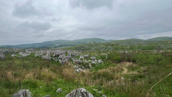 茨の道参考画像