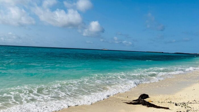 リラックス効果画像