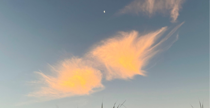 自然の色参考画像