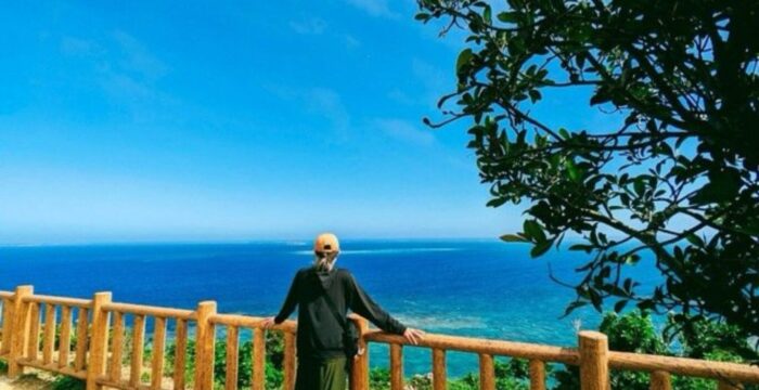 整える参考画像