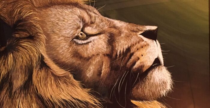 動物画参考画像