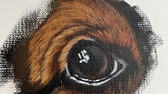 目の球体参考画像