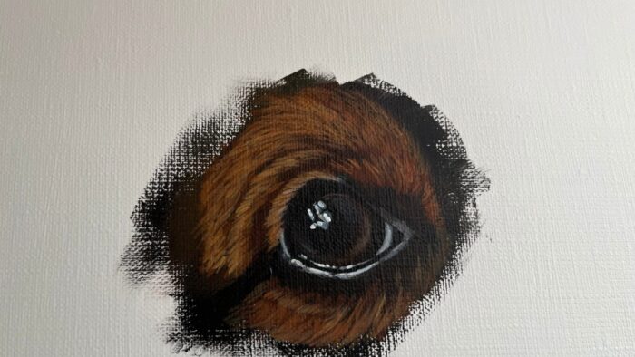 毛並みの描き方、技法の説明写真