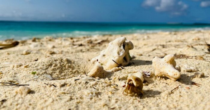 アングル参考画像