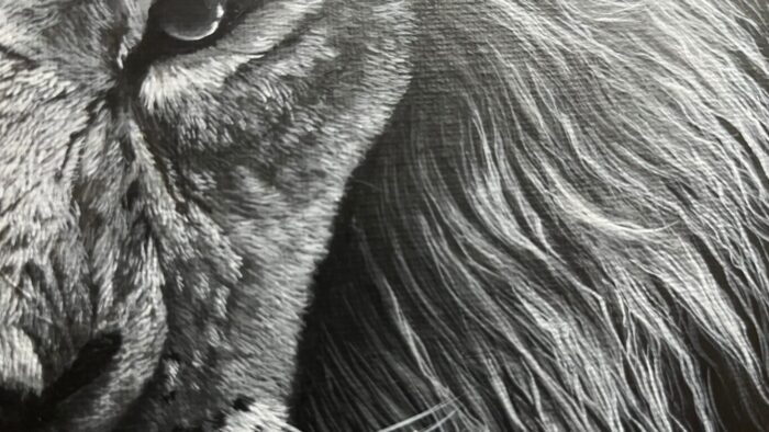 顔の毛の描き方説明写真