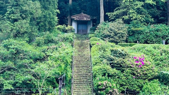 小さな歩み参考画像