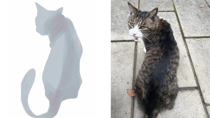 影の付け方説明写真 