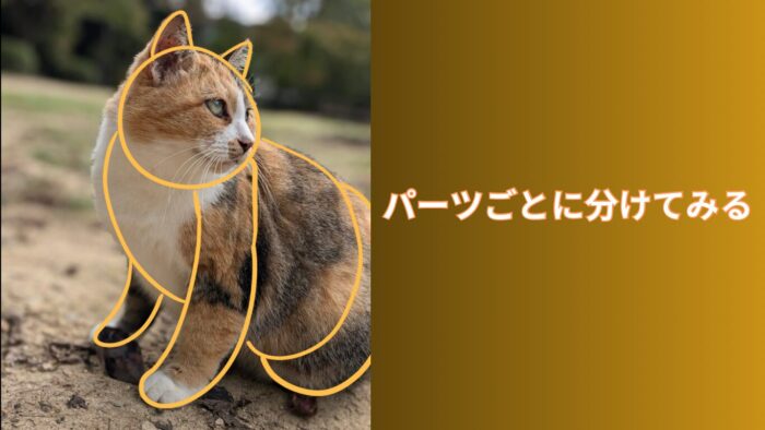 動物パーツ分け説明画像