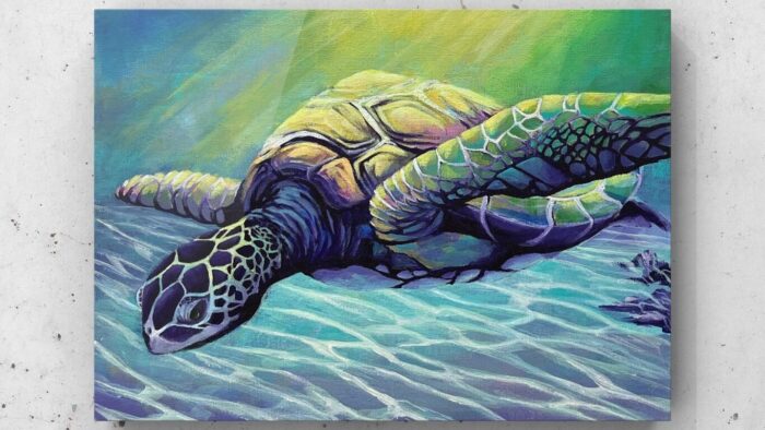 カメの参考画像