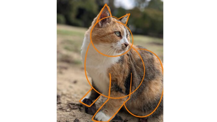 形の取り方画像