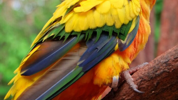 細かな描写画像