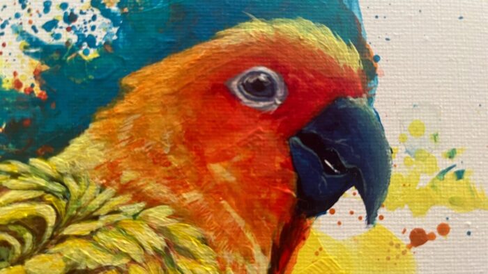 鳥の目描き方画像