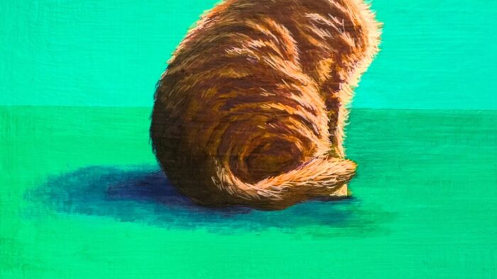 ぼかし説明画像