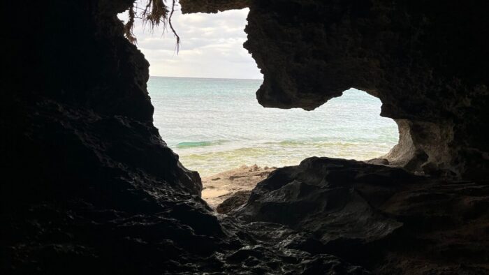 観察する目参考画像