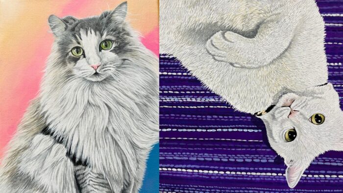 白の動物の描き方画像