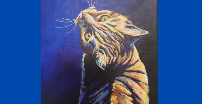 ちゃんと見る参考画像