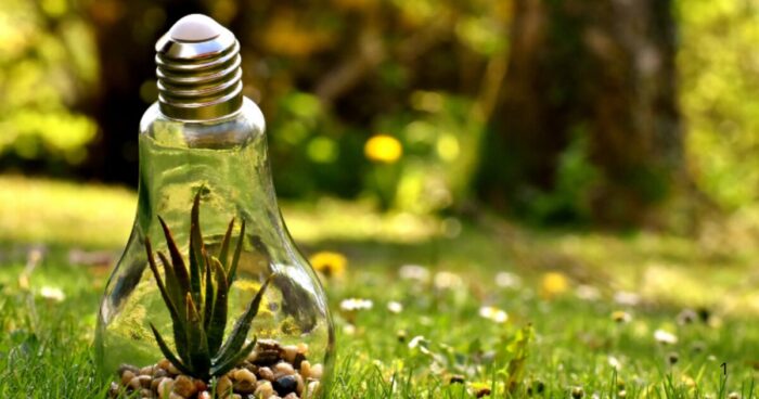 ひらめき参考画像