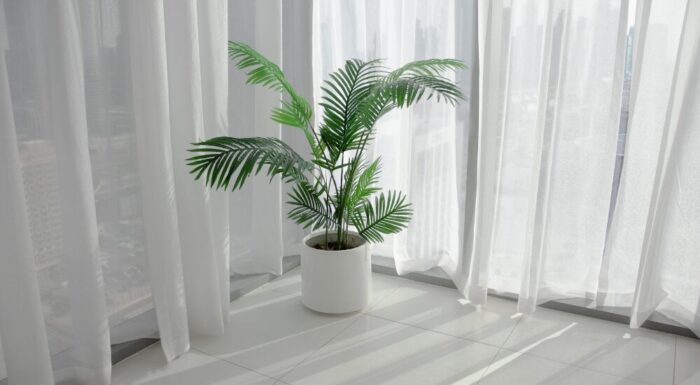 日光避ける参考画像