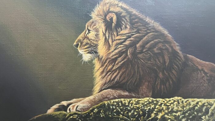 毛並み明るい箇所参考画像