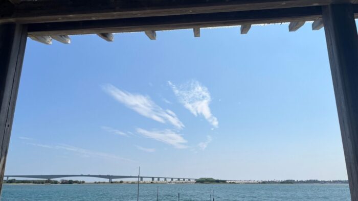 慣れる参考画像