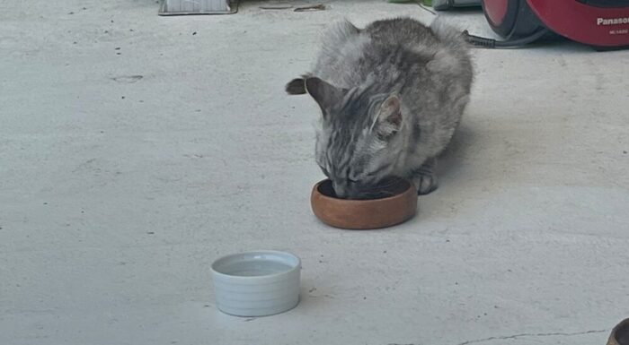 ベルとの距離感参考画像