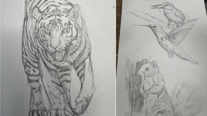 デッサン必要？参考画像