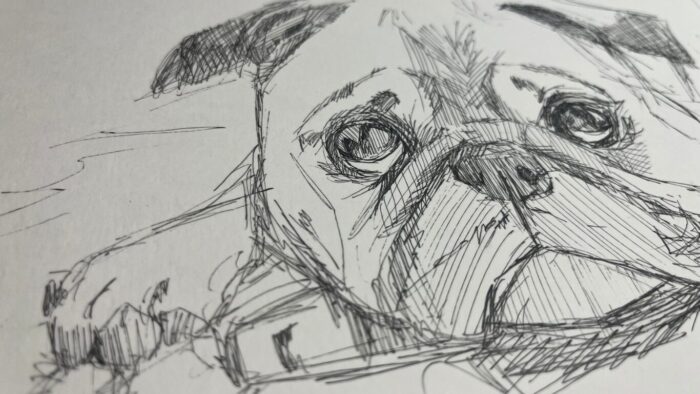 デッサン白黒でわかること参考画像