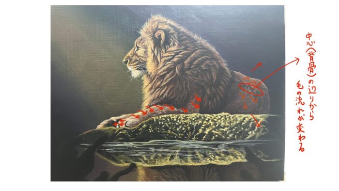 身体毛の流れ参考画像