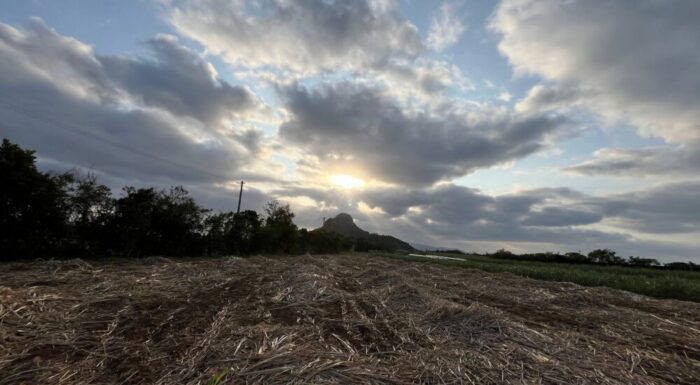 自然の流れ参考画像