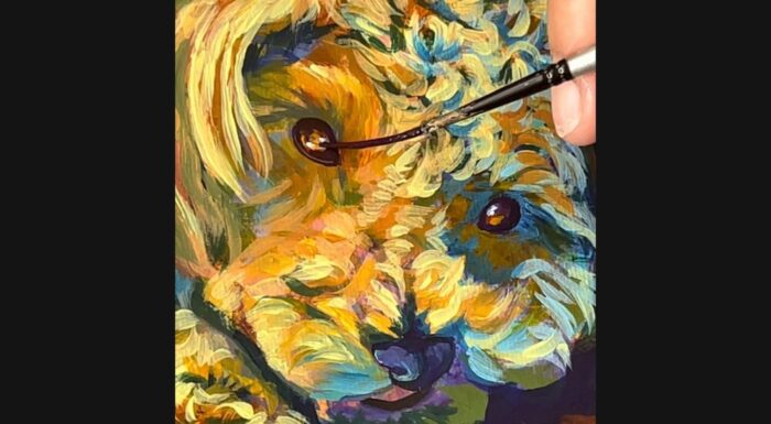 目の描写参考画像